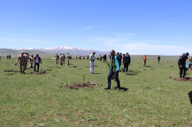 Ağrı’da Adalet Ormanına 2500 Fidan Dikildi