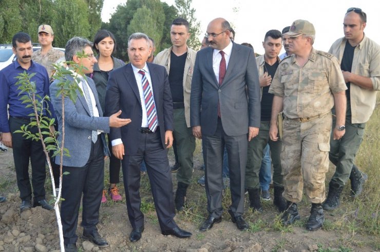 Vali Elban  “Meyve veren yeşil bir Ağrı olsun istiyoruz”