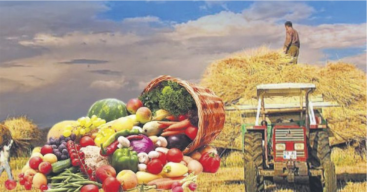 Tarım ve gıda sektörüne ‘kayıt dışı’ takibi geliyor