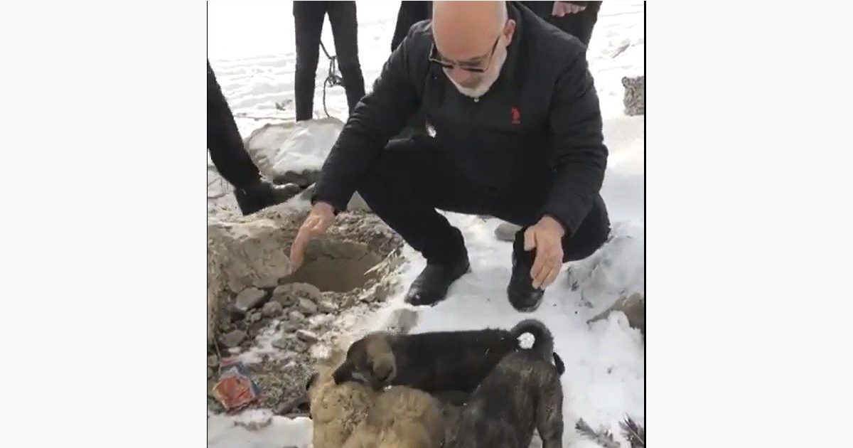 Ağrı’da su kuyusuna düşen yavru köpekleri itfaiye ekipleri kurtardı