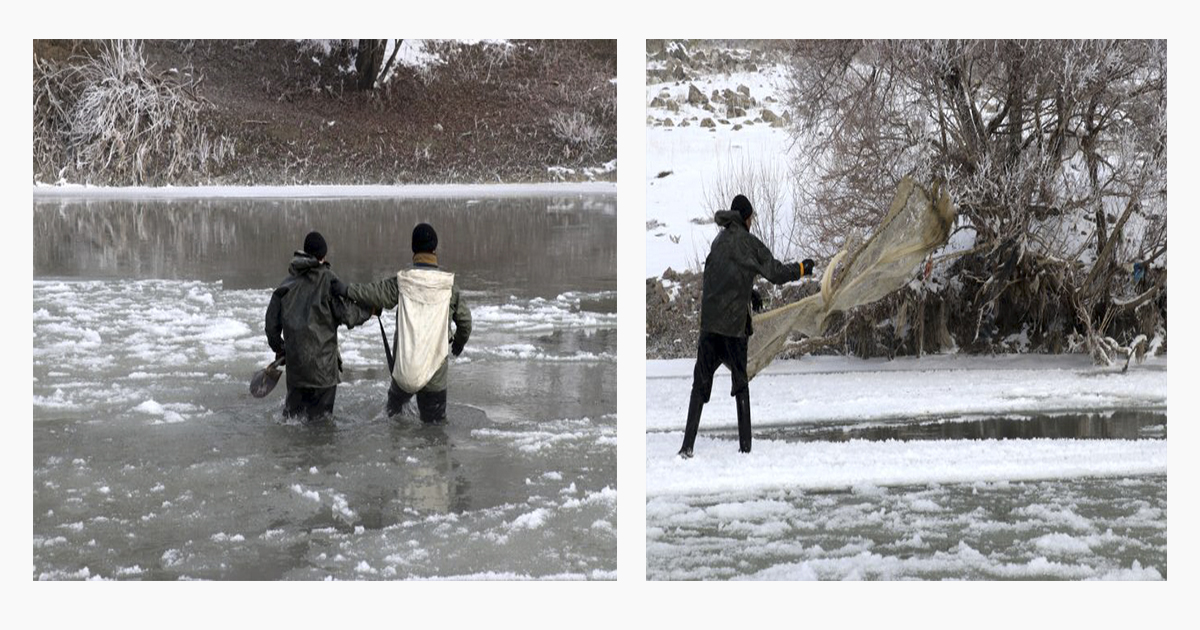 Ağrı’da buz tutan nehirde can pahasına ekmek avı