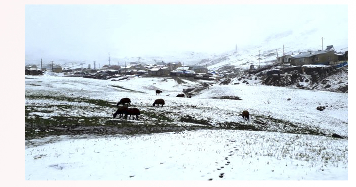 Ağrı’da yüksek rakımlı köylerde kar etkili oldu