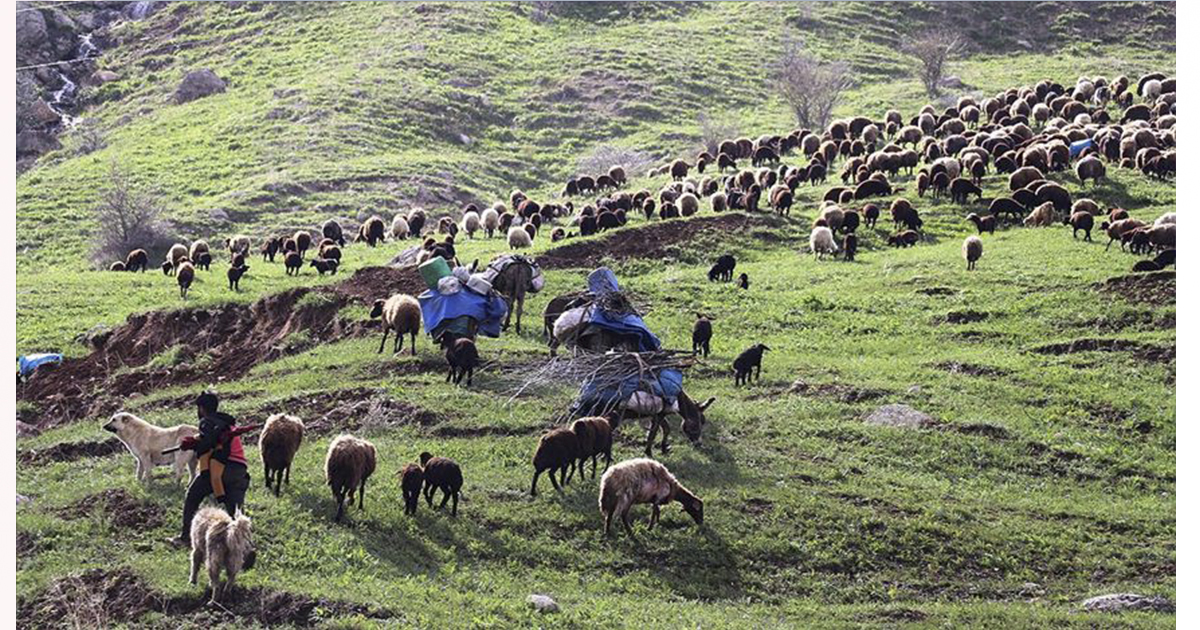 Göçerler,Ağrı’dan  yaylaya çıkmak için dağlardaki karların erimesini bekliyor