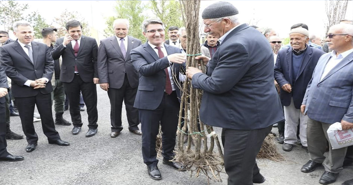 Ağrı’da Meyve Fidanları Toprakla Buluşuyor