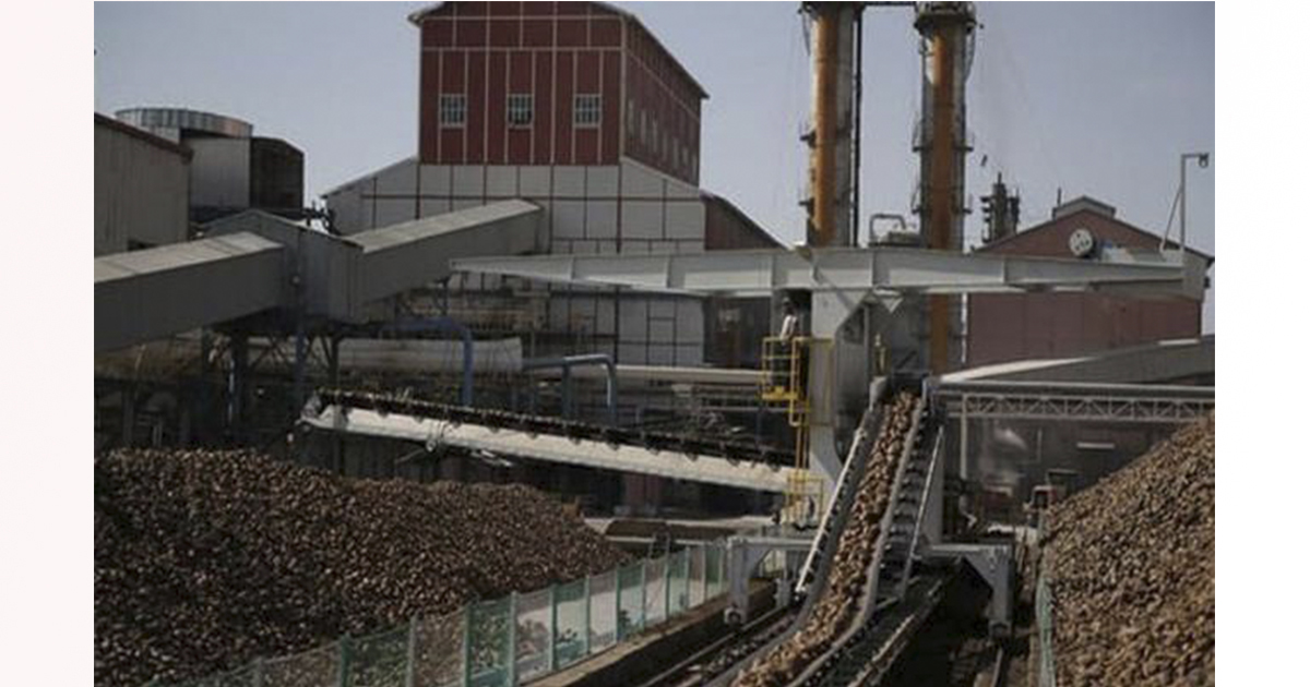 Türkiye Şeker Fabrikaları kadrolu 306 işçi alımı başvuruları yarın sona eriyor!