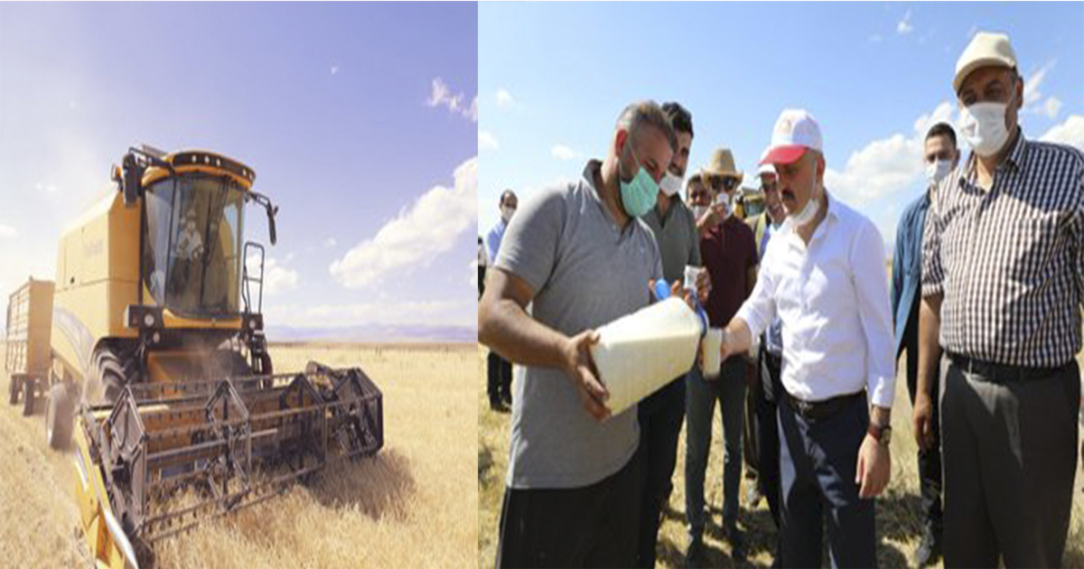 Ağrı’da İlk Hasat Vali Varol’un Katılımıyla Gerçekleştirildi