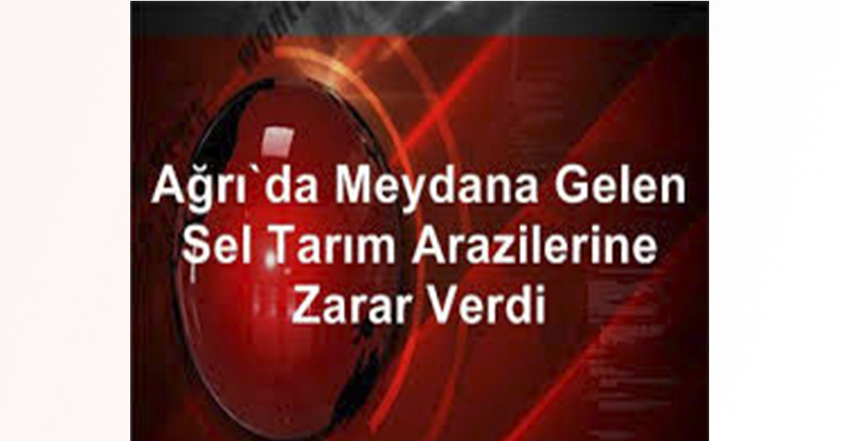 Ağrı Taşlıçay’da  sağanak ve dolu tarım arazilerine zarar verdi