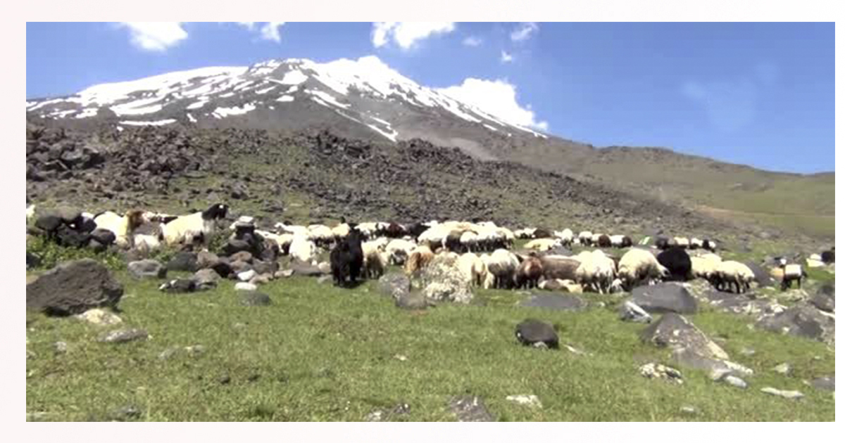 Ağrı Dağı’nda çöl ve kutup iklimi aynı anda yaşanıyor