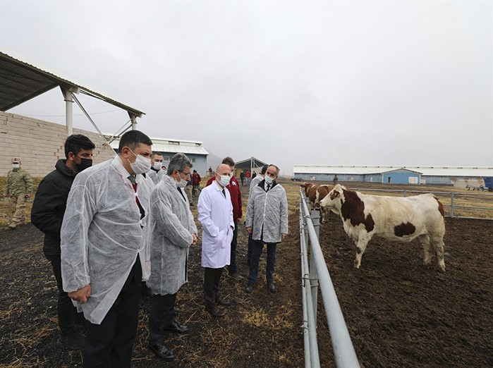 Vali Varol, Doğubayazıt’ta Süt Çiftliğini Ziyaret Etti
