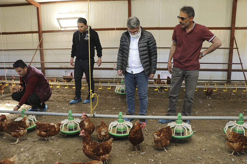 Ağrı İl Tarım ve Orman Müdürü Engin,Yumurtacı Tavuk Çiftliğini Ziyaret Etti   