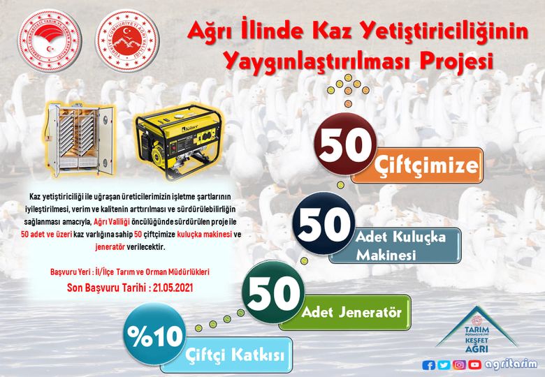 Ağrı’da Kaz Yetiştiriciliğinin Yaygınlaştırılması Projesi Hayata Geçiyor