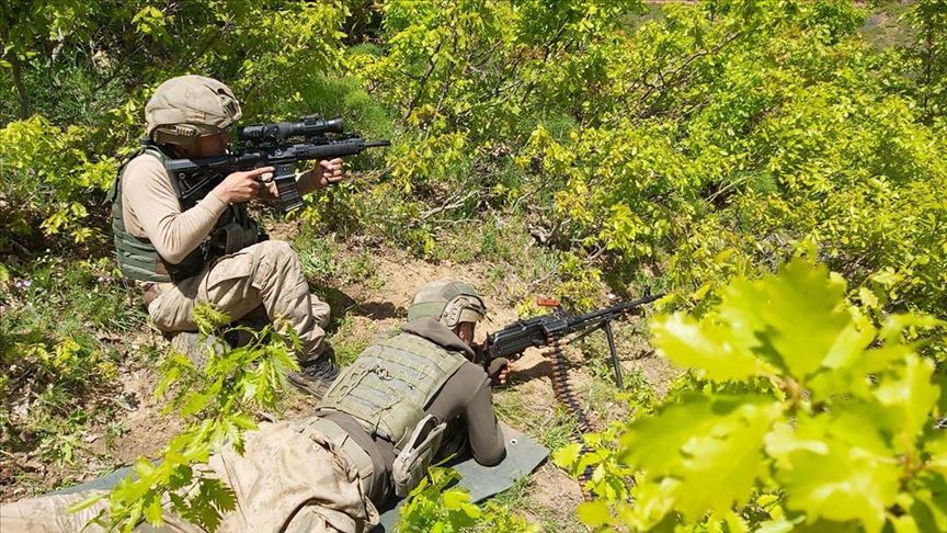 Gri kategoride aranan PKK’lı Terörist Bitlis’te Etkisiz Hale Getirildi