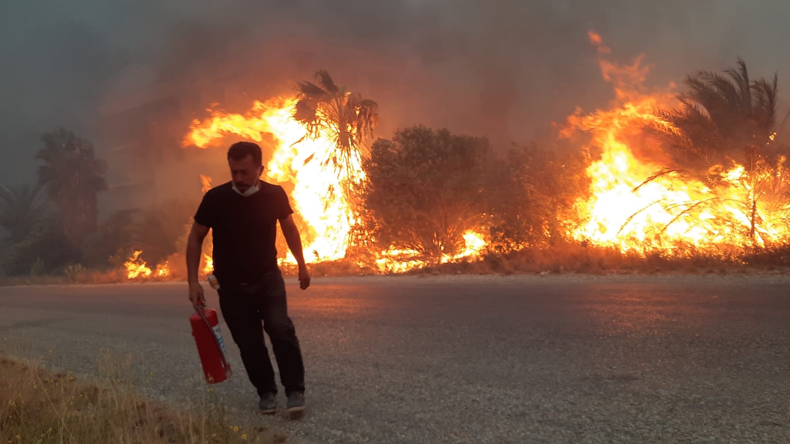 Türkiye alev alev yanıyor, 5 şehirde daha çıkan yangınlar devam ediyor