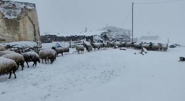 Ağrı’da kış yeniden başladı!