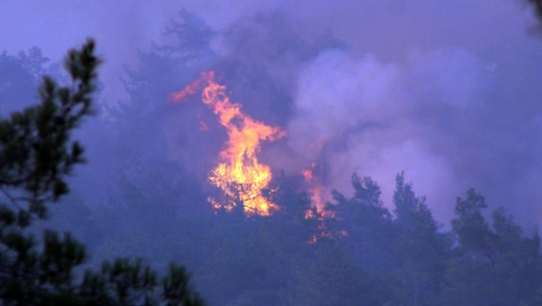 İçişleri Bakanlığı’ndan orman yangını genelgesi