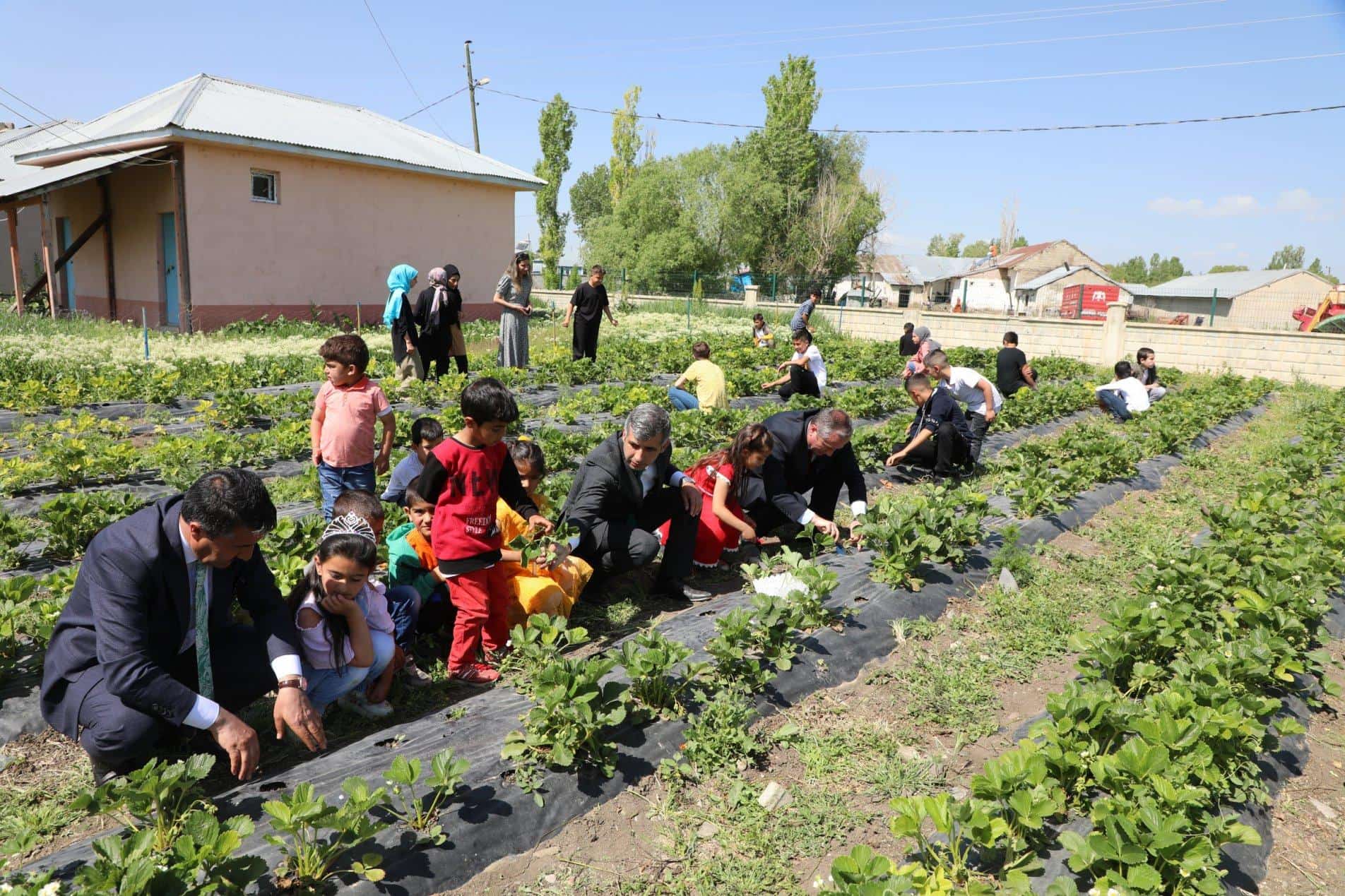 Okul Bahçesinde ‘Ağrı’dan Çileğe Dokunuş’ Projesi Gerçekleştirildi