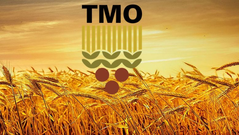 TMO buğday ve arpa alım fiyatlarını yükseltti!