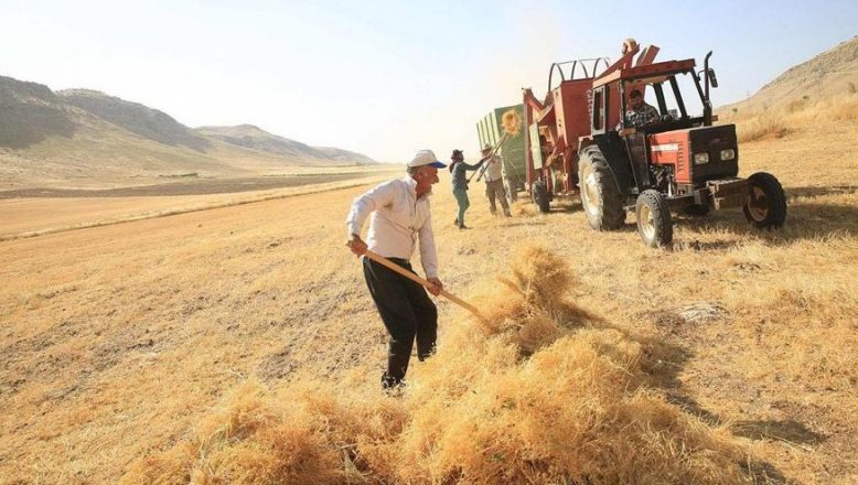 Türkiye Tarım Kooperatifleri’nden çiftçilere müjde!