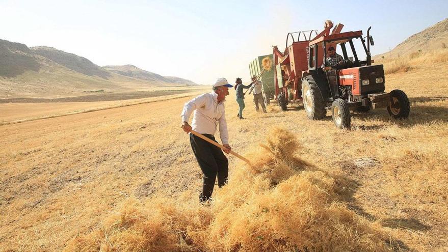 Türkiye Tarım Kooperatifleri’nden çiftçilere müjde!