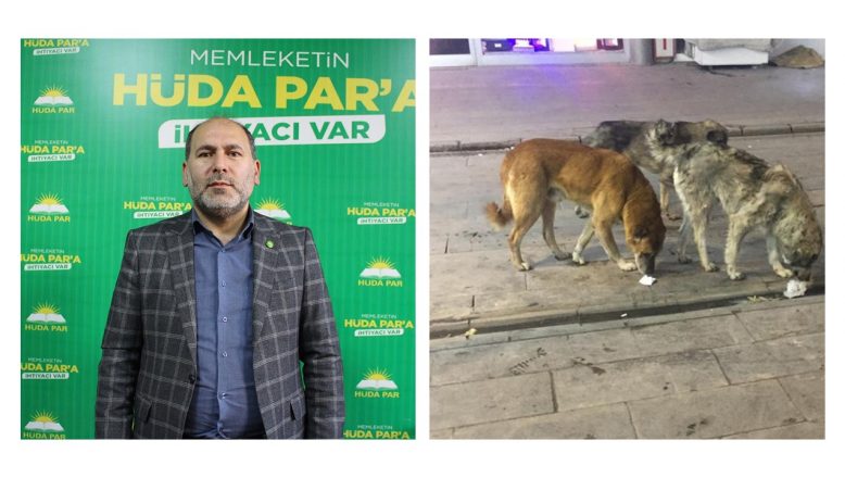 HÜDA PAR İl Başkanı Gökhan: “Ağrı’daki başıboş sokak köpekleri tehlike oluşturuyor”