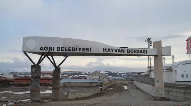 Ağrı hayvan borsası açılıyor!