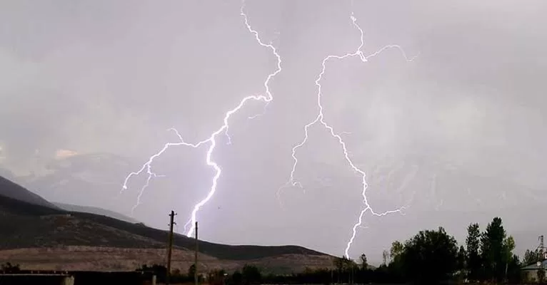 Ağrı’daki yıldırım 30 koyunu telef etti!