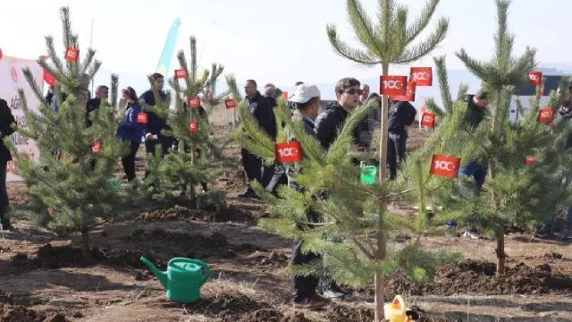 Ağrı’da 500 fidan dikildi!