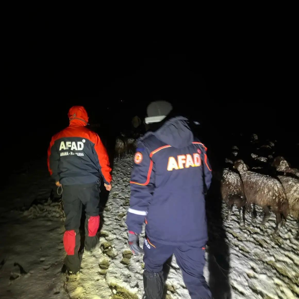Ağrı’da 3 çoban ve 3 bin koyun kurtarıldı!