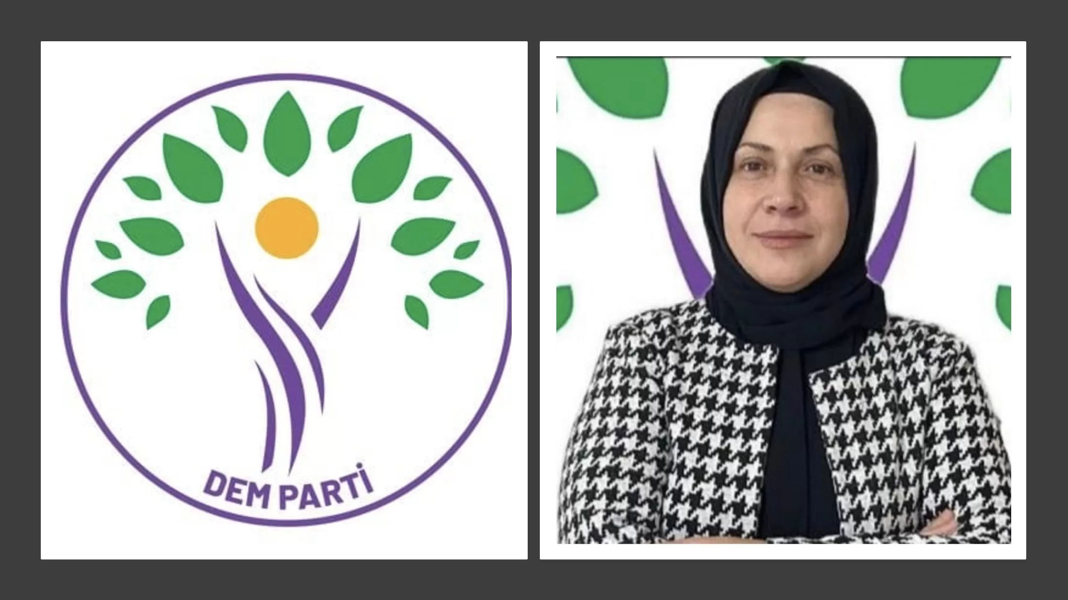 Ayfer Birlikler DEM Parti Ağrı Belediye Başkan Aday Adaylığına Müracaat Etti