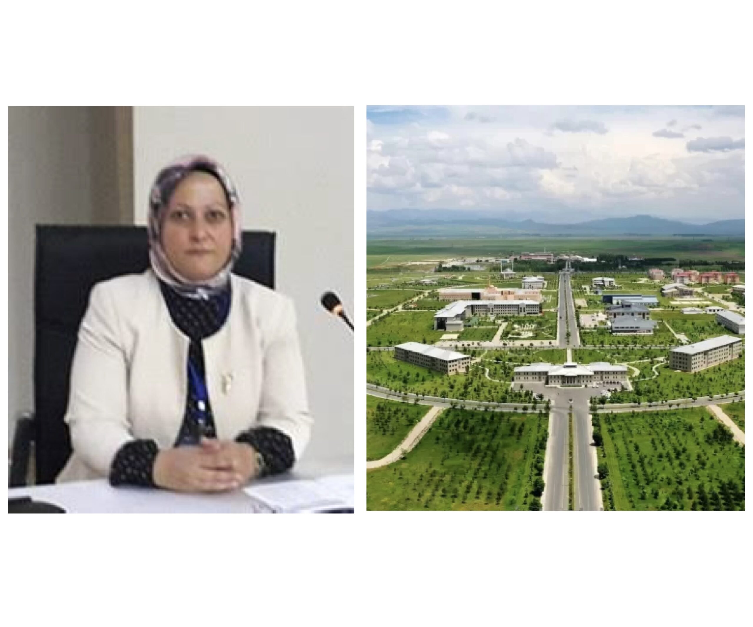 Emine Teyfur, profesör unvanına hak kazandı!
