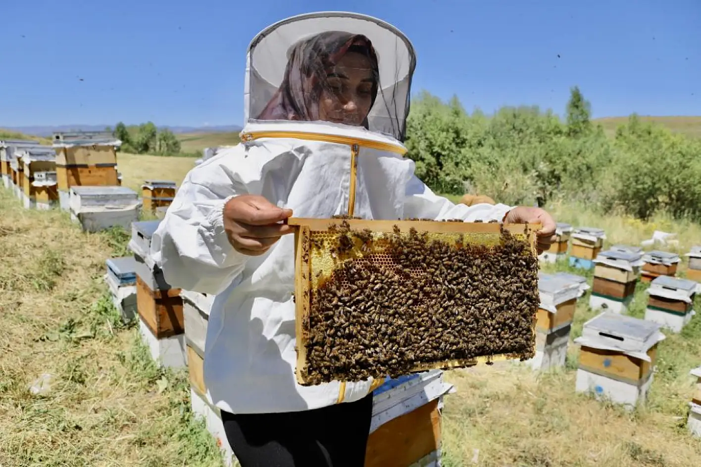 Ağrılı kadın girişimci, yılda yaklaşık 3 ton bal elde ediyor!
