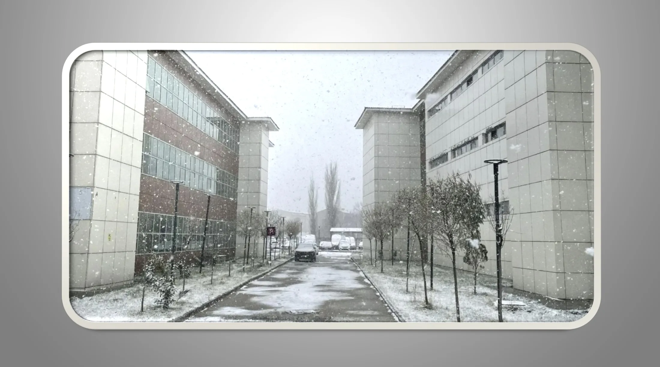 Yılın ilk karı Ağrı’ya düştü!