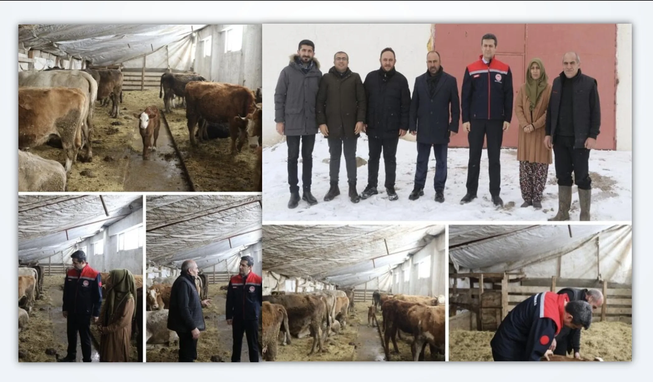 Ağrı İl Tarım ve Orman Müdürü Hüseyinoğlu, Hayvancılık İşletmesini Ziyaret Etti