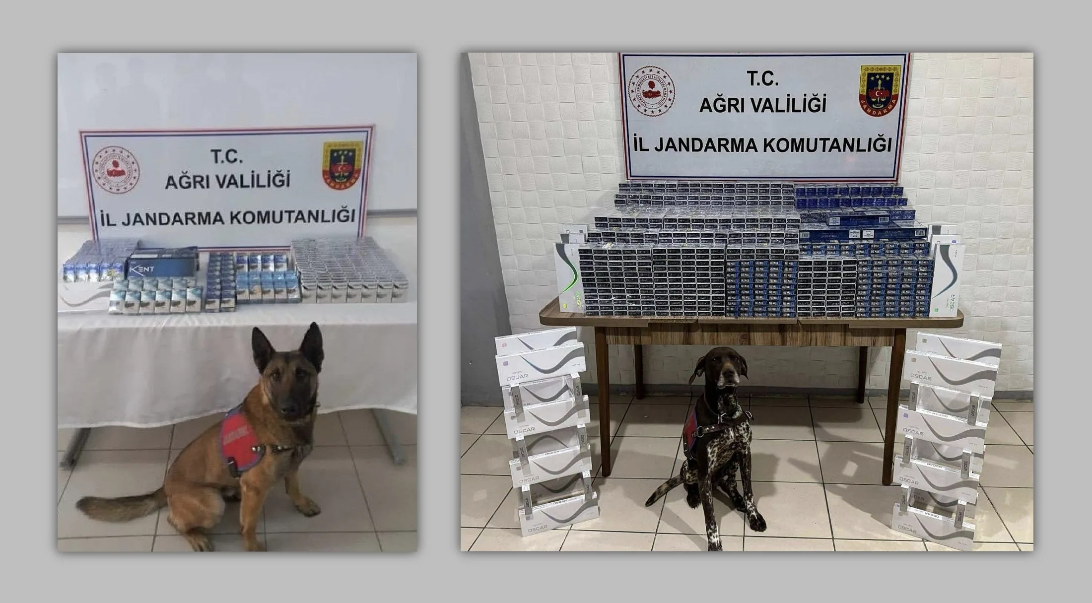 Ağrı’da 6 bin 548 paket kaçak sigara ele geçirildi!