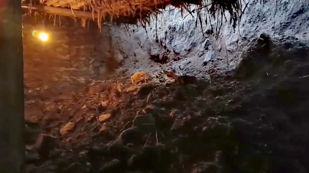 Doğubayazıt’ta ahır çöktü!